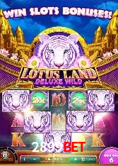 2899 Bet